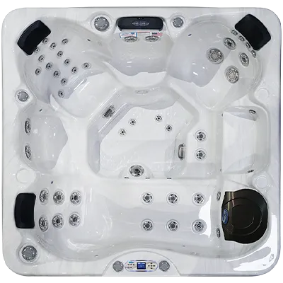 Avalon EC-849L hot tubs for sale in Olympia