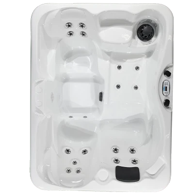 Kona PZ-519L hot tubs for sale in Olympia